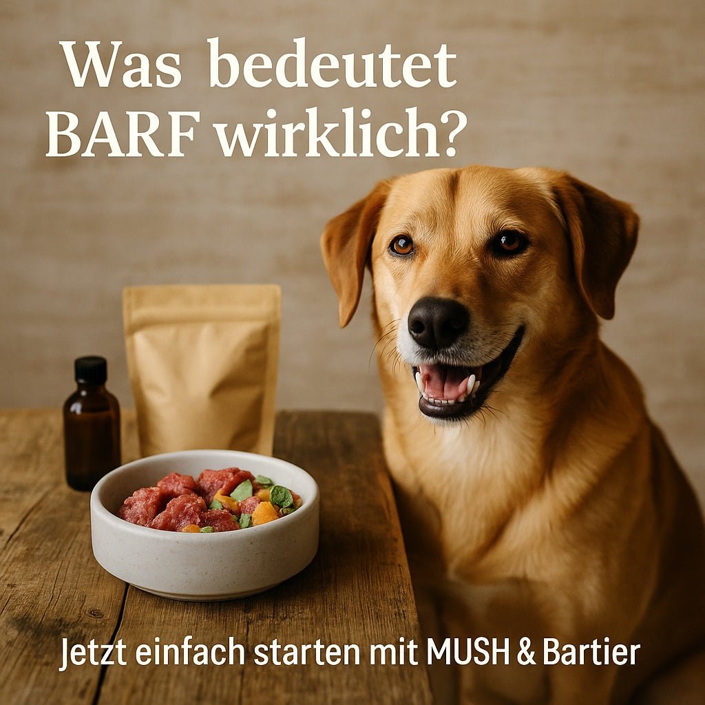 Was bedeutet BARF wirklich? Eine Einführung für Einsteiger - BARFTIER