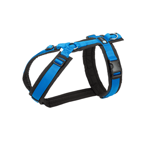 AnnyX Brustgeschirr FUN - BARFTIER - www.barftier.de