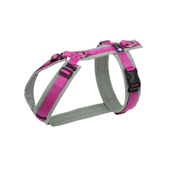 AnnyX Brustgeschirr FUN - BARFTIER - www.barftier.de