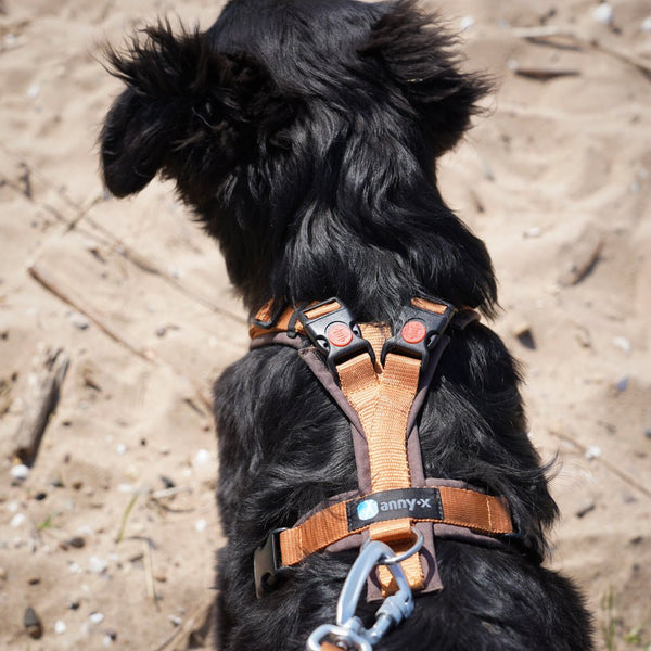 AnnyX Brustgeschirr OPEN FUN - BARFTIER - www.barftier.de