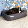 Doctor Bark - orthopädisches Hundebett - BARFTIER - www.barftier.de