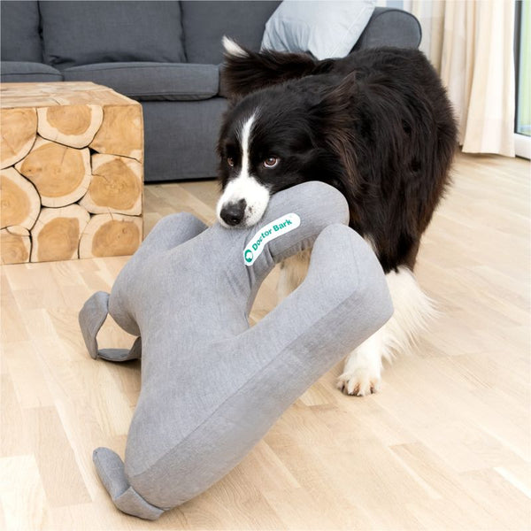 Doctor Bark - Spielzeug - BARFTIER - www.barftier.de