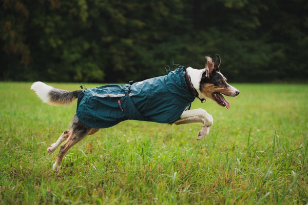 Fjord lined raincoat - wasserdichter & gefütterter Regenmantel für Hunde - BARFTIER - www.barftier.de