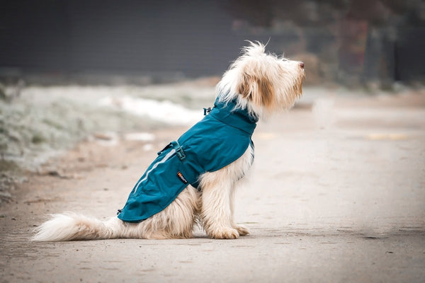 Fjord lined raincoat - wasserdichter & gefütterter Regenmantel für Hunde - BARFTIER - www.barftier.de