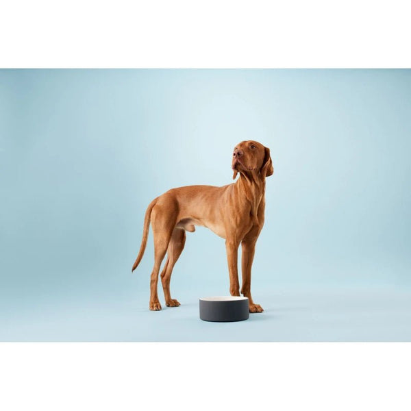 Futternapf für Hunde - kühlend - BARFTIER - www.barftier.de