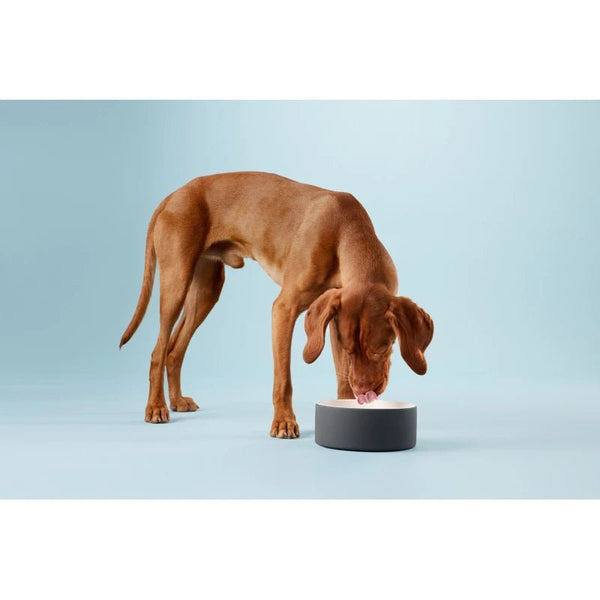 Futternapf für Hunde - kühlend - BARFTIER - www.barftier.de