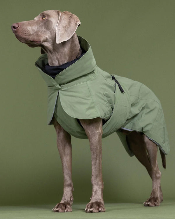 Hunde - Wintermantel - PAIKKA Visibility Winter Jacket - BARFTIER - www.barftier.de
