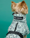 Hunde - Wintermantel - PAIKKA Visibility Winter Jacket - BARFTIER - www.barftier.de