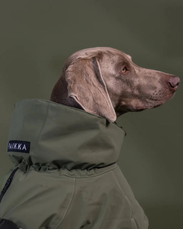 Hunde - Wintermantel - PAIKKA Visibility Wool - BARFTIER - www.barftier.de