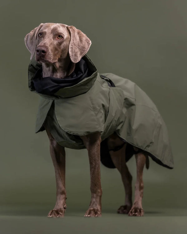 Hunde - Wintermantel - PAIKKA Visibility Wool - BARFTIER - www.barftier.de