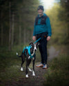 Hundegeschirr - Freemotion Harness 5.0 - BARFTIER - www.barftier.de