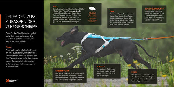 Hundegeschirr - Freemotion Harness 5.0 - BARFTIER - www.barftier.de