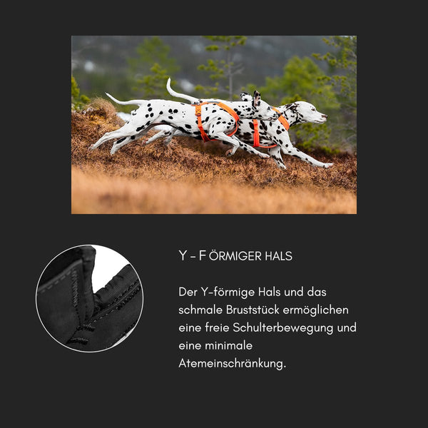 Hundegeschirr - Line Harness 5.0 - BARFTIER - www.barftier.de