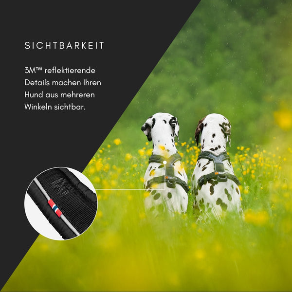 Hundegeschirr - Line Harness 5.0 - BARFTIER - www.barftier.de