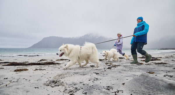 Hundeleine - Trail Quest Leine (Rachel Pohl Edition) - BARFTIER - www.barftier.de