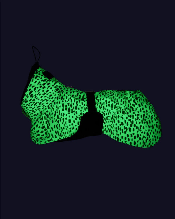 Hunderegenmantel - PAIKKA Raincoat 2.0 - BARFTIER - www.barftier.de