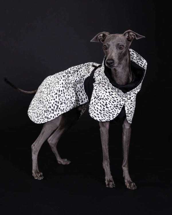 Hunderegenmantel - PAIKKA Raincoat 2.0 - BARFTIER - www.barftier.de