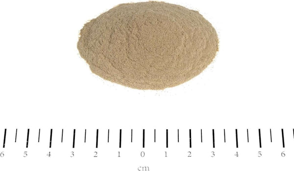 Magen Balance (Pulver) - BARFTIER - www.barftier.de