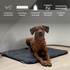 Manuly I Hundematte, aufblasbar & innovativ - Komplett - Set - BARFTIER - www.barftier.de