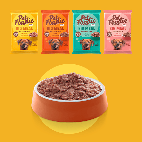 AMAZON - PetFoodie Big Meal für Hunde - Rind (Single Protein) Q-Petfood