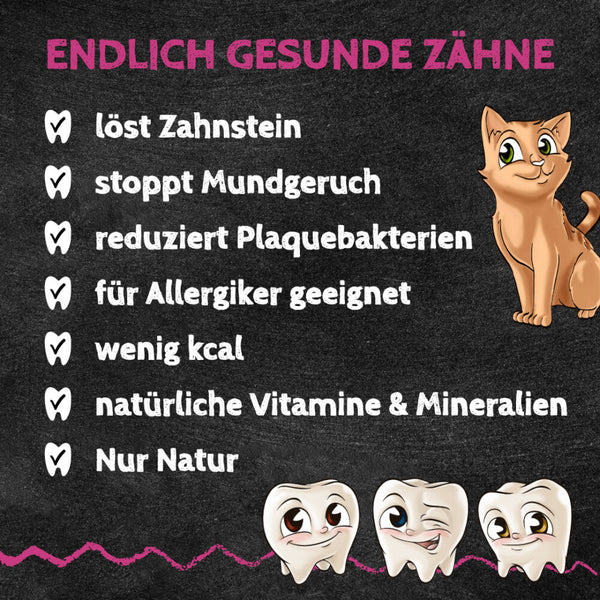 Qchefs - Mminis Katze - BARFTIER - www.barftier.de