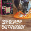 Qchefs - Mminis Katze - BARFTIER - www.barftier.de