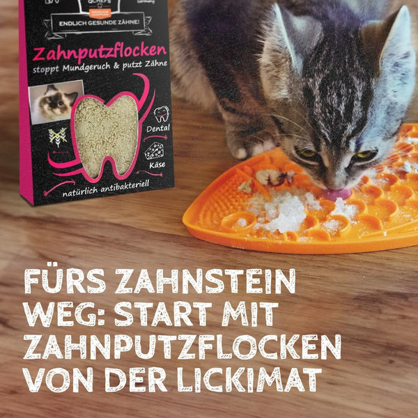 Qchefs - Zahnputzflocken Katze - BARFTIER - www.barftier.de