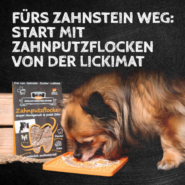 Qchefs - Zahnputzkohle Hund - BARFTIER - www.barftier.de