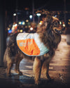 Reflective Vest (reflektierende Hundeweste) - BARFTIER - www.barftier.de