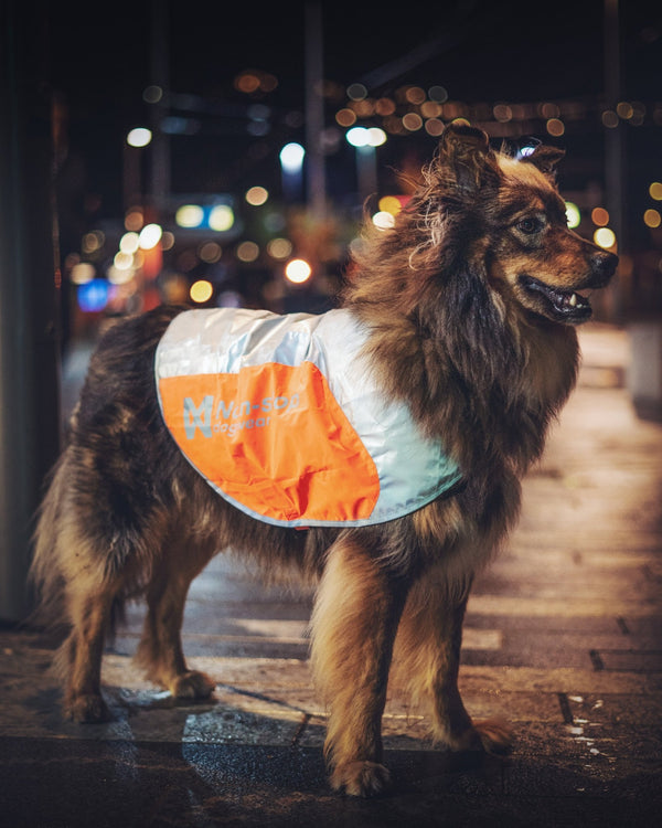 Reflective Vest (reflektierende Hundeweste) - BARFTIER - www.barftier.de
