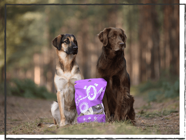 SnackOMIO - Delikates Pferdefilet in Streifen - BARFTIER - www.barftier.de