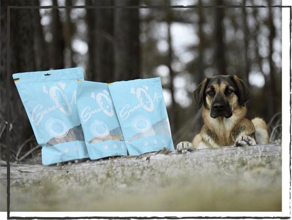 SnackOMIO - Erlesene Kabeljau Röllchen - BARFTIER - www.barftier.de