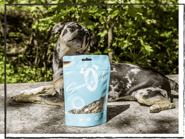 SnackOMIO - Frische Sprotten - BARFTIER - www.barftier.de