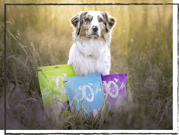 SnackOMIO - Knusprige Kaninchenohren (natur) - BARFTIER - www.barftier.de