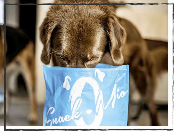 SnackOMIO - Knusprige Rinderohren mit Muschel - BARFTIER - www.barftier.de