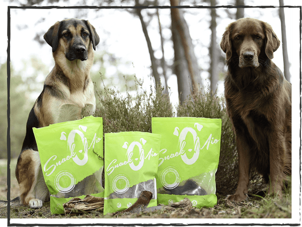 SnackOMIO - Krosse Fleischwürfel vom Wild - BARFTIER - www.barftier.de