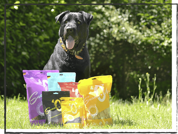 SnackOMIO - Krosse Hühnerfüsse - BARFTIER - www.barftier.de