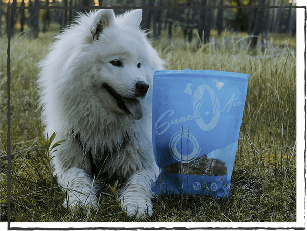 SnackOMIO - Leckere Rinderkopfhaut - BARFTIER - www.barftier.de