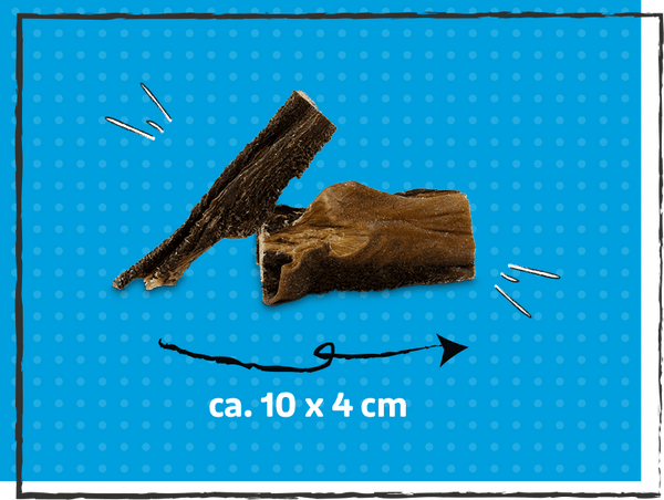 SnackOMIO - Schmackhafter Rinderpansen - BARFTIER - www.barftier.de