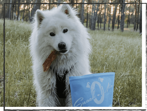 SnackOMIO - Schmackhafter Rinderpansen - BARFTIER - www.barftier.de