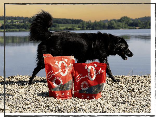 SnackOMIO - Zarte Entenhälse - BARFTIER - www.barftier.de