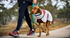 Trekking Fleece Jacket (Hundemantel) - BARFTIER - www.barftier.de