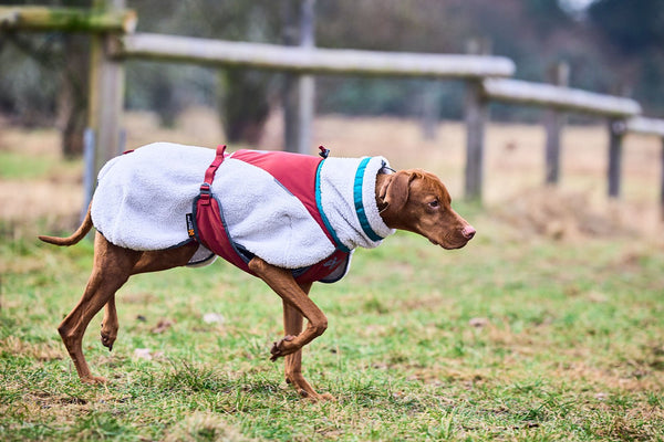 Trekking Fleece Jacket (Hundemantel) - BARFTIER - www.barftier.de