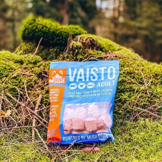 VAISTO® BLAU - (Rind - Truthahn - Lachs) - BARFTIER - www.barftier.de