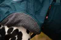 Fjord lined raincoat - wasserdichter & gefütterter Regenmantel für Hunde - BARFTIER - www.barftier.de