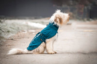 Fjord lined raincoat - wasserdichter & gefütterter Regenmantel für Hunde - BARFTIER - www.barftier.de