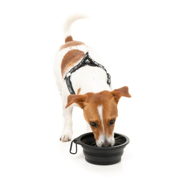 FuzzYard - Faltbarer Futternapf für Hunde - BARFTIER - www.barftier.de