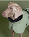 Hunde - Wintermantel - PAIKKA Visibility Winter Jacket - BARFTIER