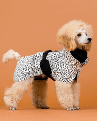 Hunderegenmantel - PAIKKA Raincoat 2.0 - BARFTIER - www.barftier.de