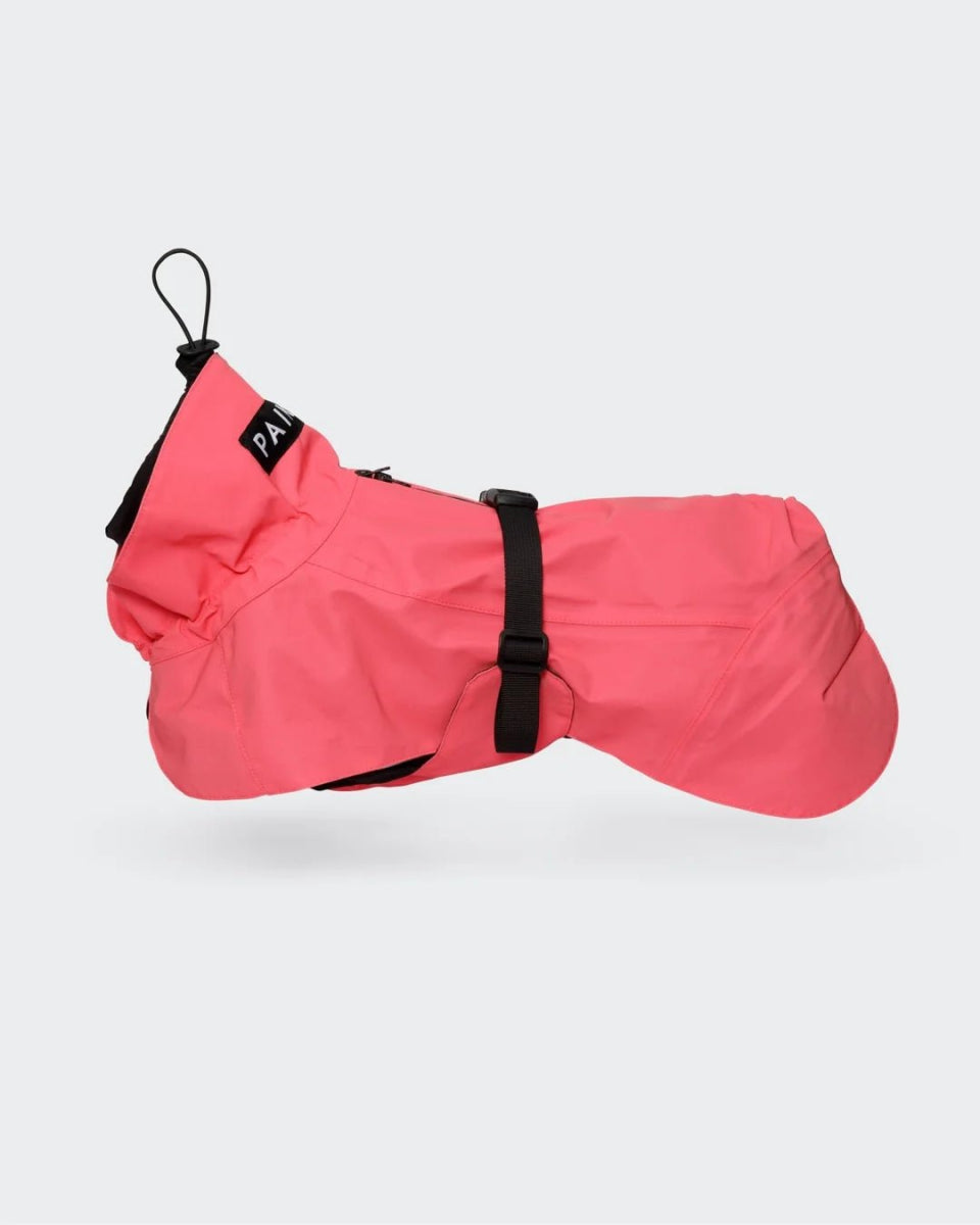 Hunderegenmantel - PAIKKA Visibility Raincoat - BARFTIER - www.barftier.de